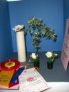 Grace Seward, open bloom, tall white vase, 2 small buds in smaller dark vases