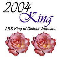 2004 ARS King of District Websites