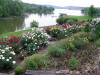 rose gardens with Tennessee River in background